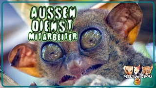 Aussendienstmitarbeiter ::: [Ich bin der Mungo an den Decks]