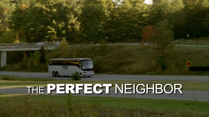 Соседка, The Perfect Neighbor,