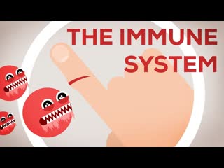 Иммунная система I - Бактериальная Инфекция